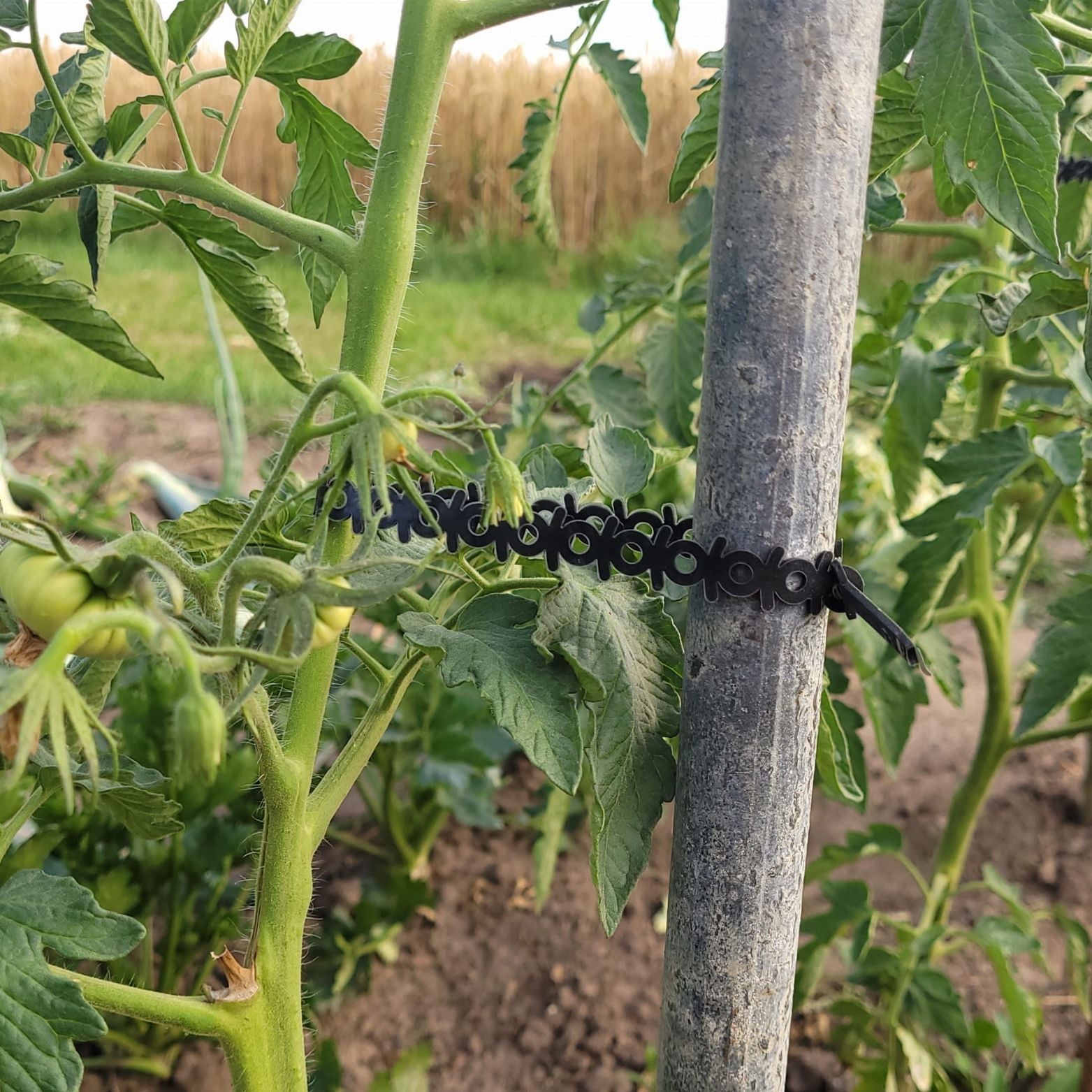 AGRO OPASKA