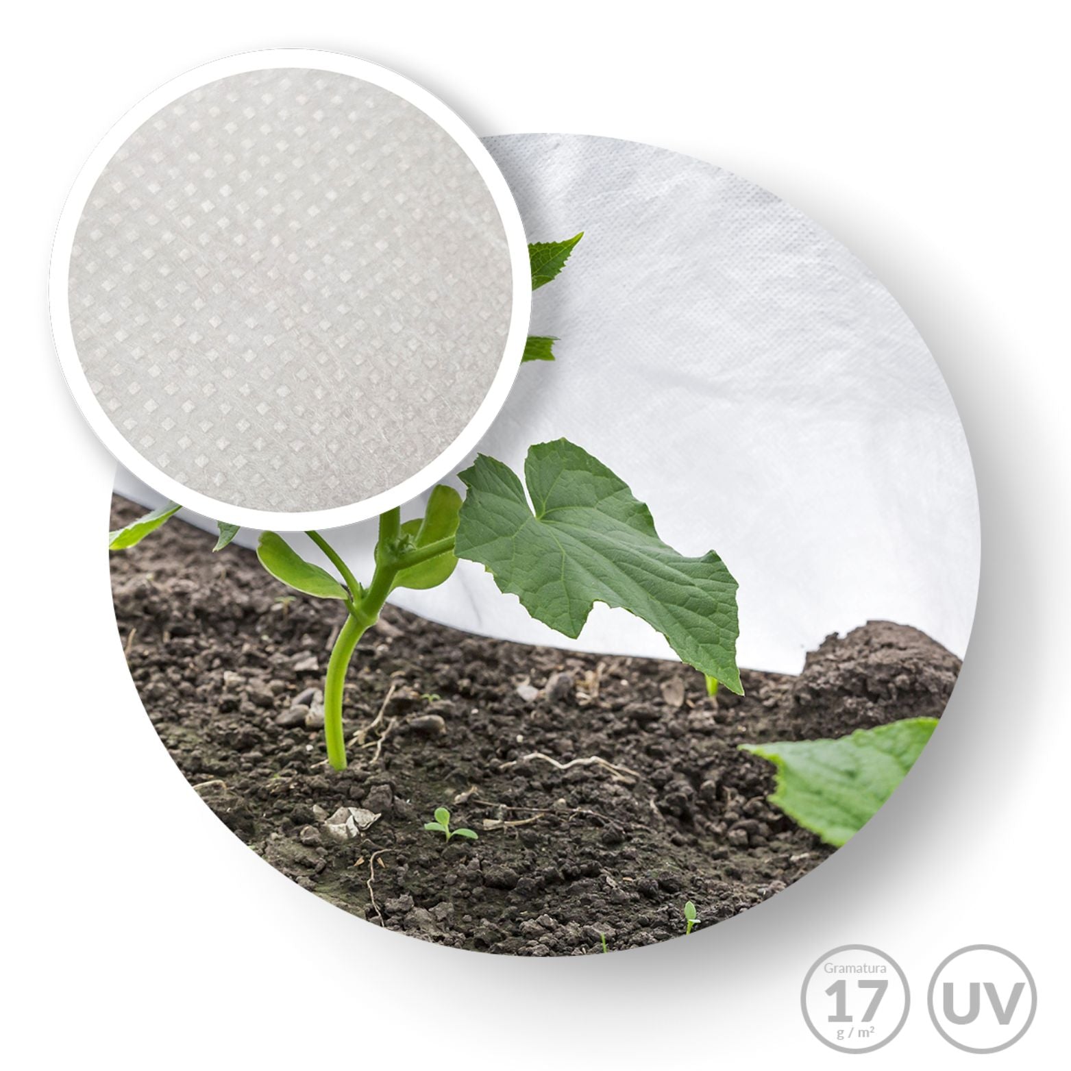 Agrowłóknina osłaniająca Wiosenna Agro Marina