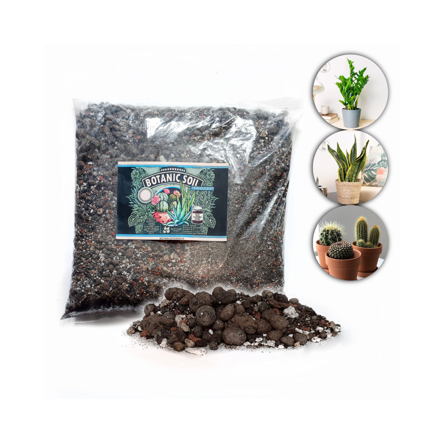 Botanic Soil Succulent – podłoże do kaktusów i sukulentów
