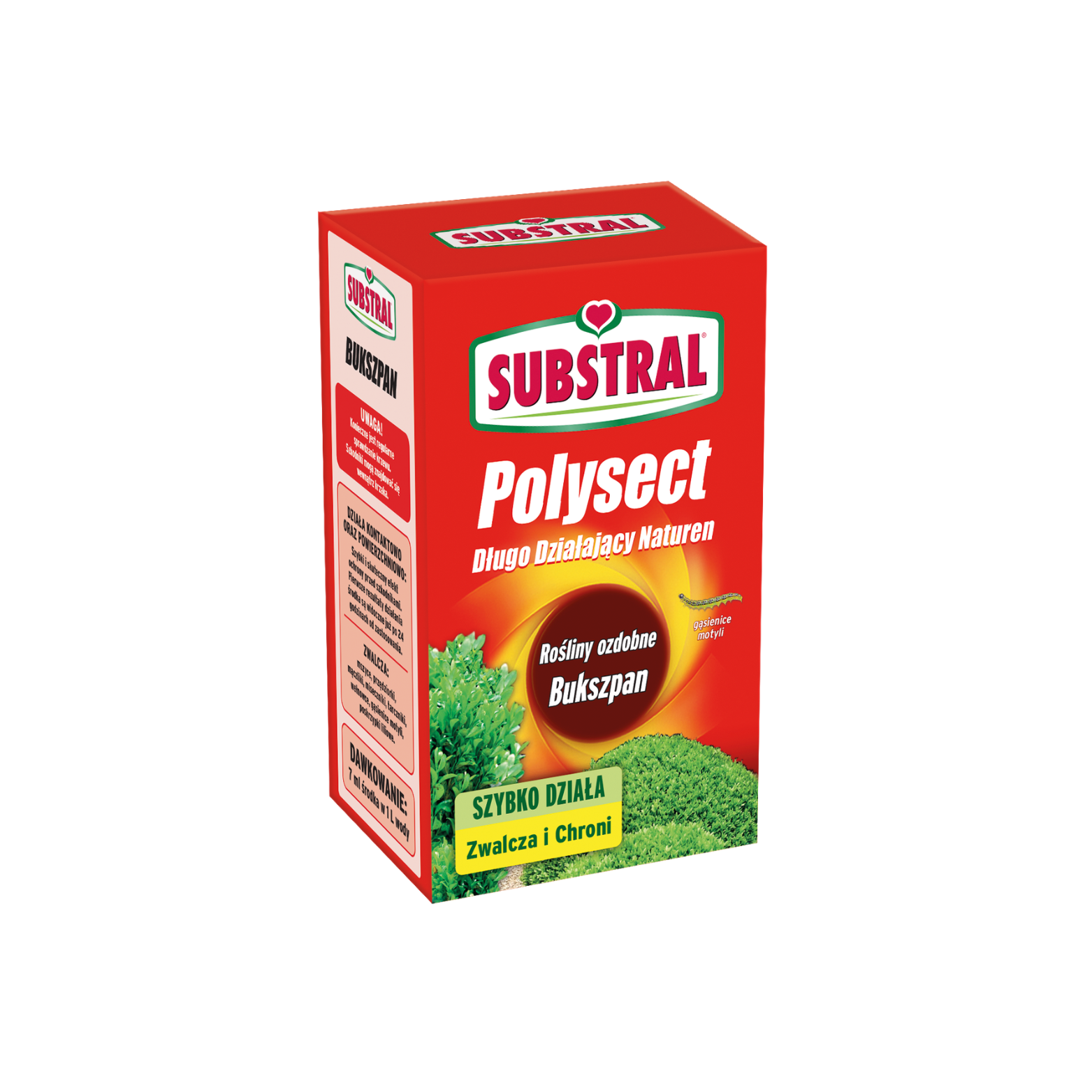 Bukszpan Długo Działający Naturen