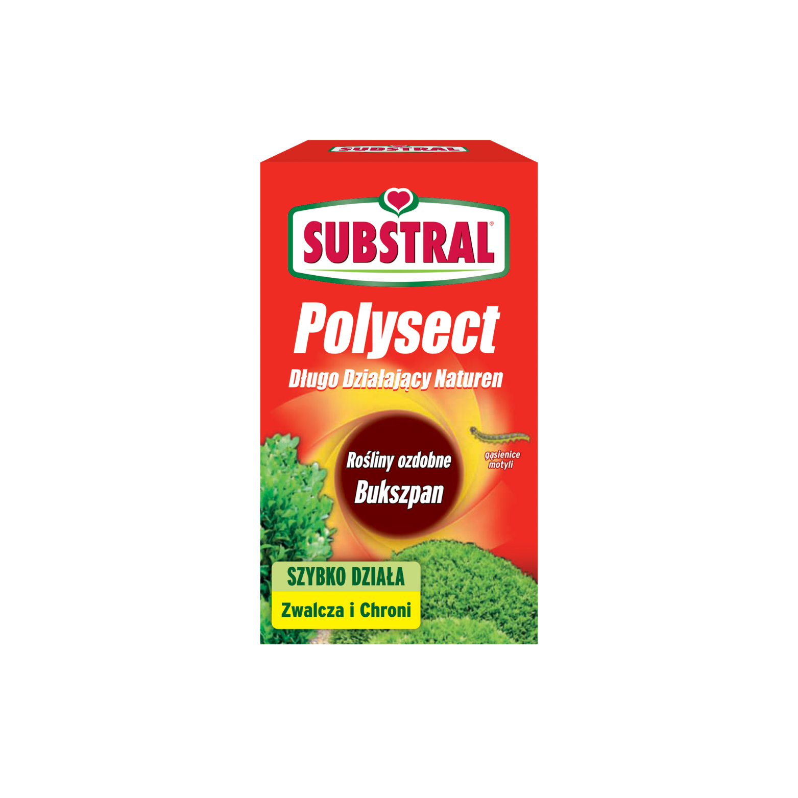 Bukszpan Długo Działający Naturen