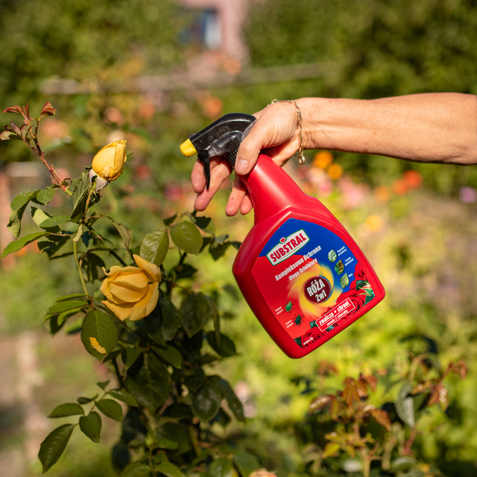 Kwiaty Kompleksowa Ochrona 2w1 Spray