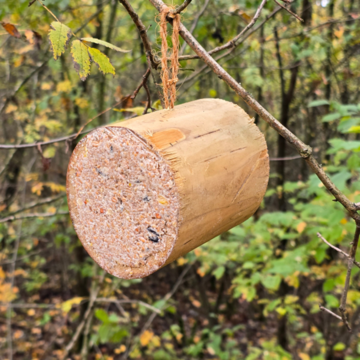 Nadziewany bambus