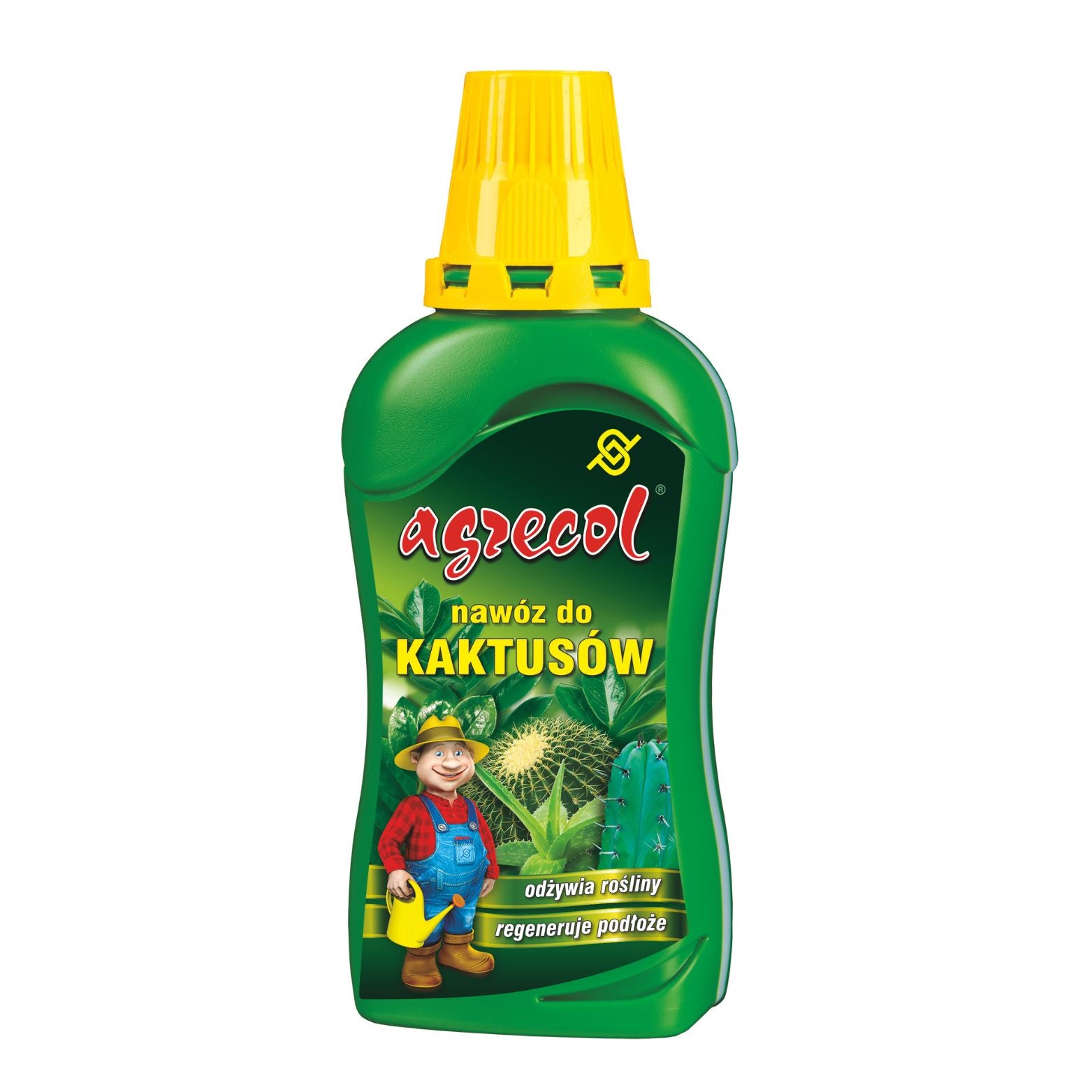 Nawóz do kaktusów i sukulentów