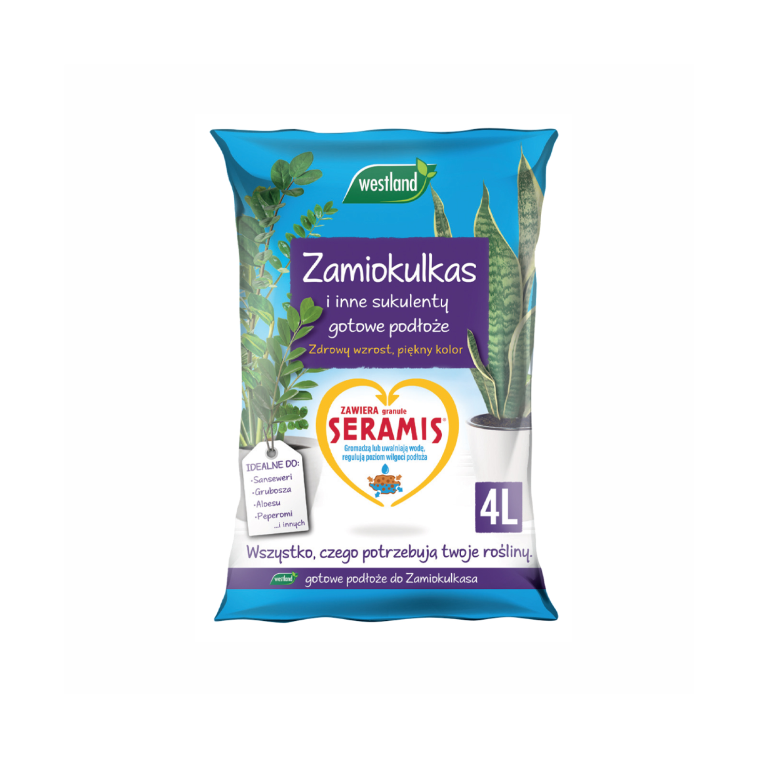 PODŁOŻE do Zamiokulkasa