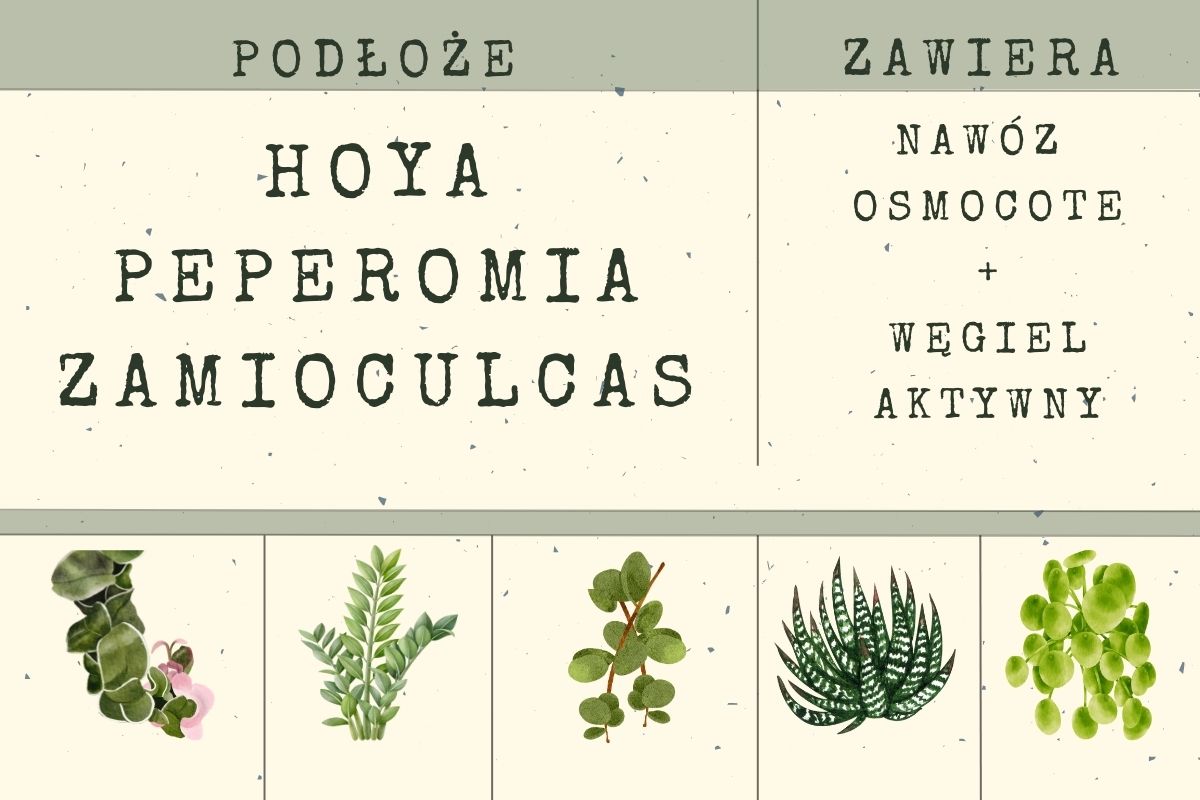Podłoże Hoya Peperomia Zamioculcas Hortorus
