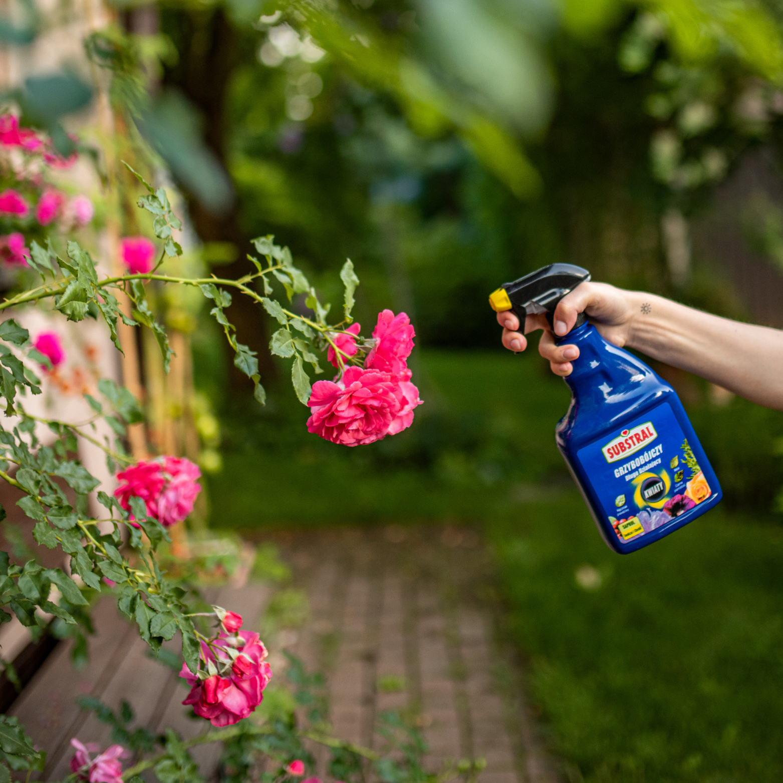 Saprol Środek Grzybobójczy Spray