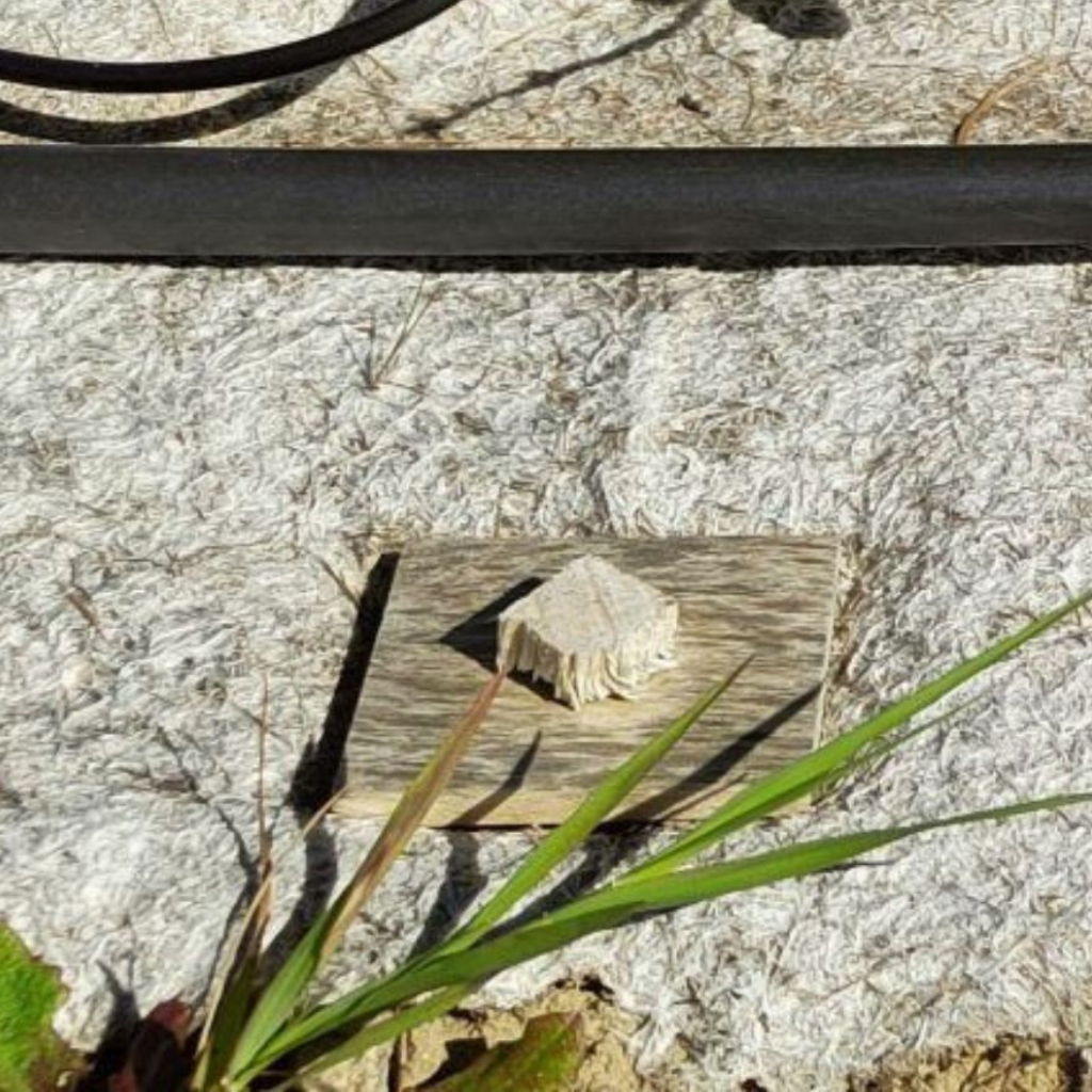 BIO Szpilka drewniana do mocowania ściółek aranżacje