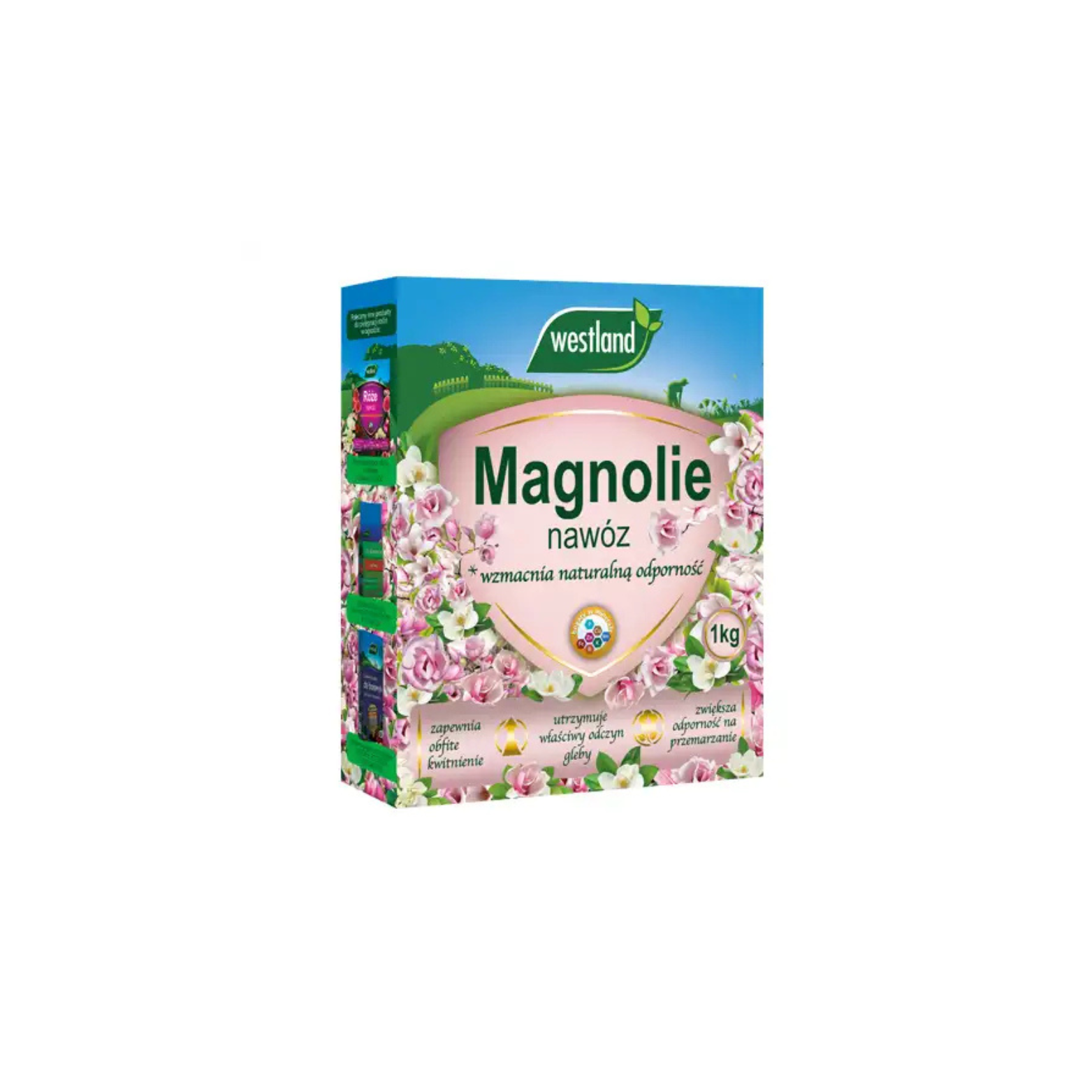 Nawóz do magnolii