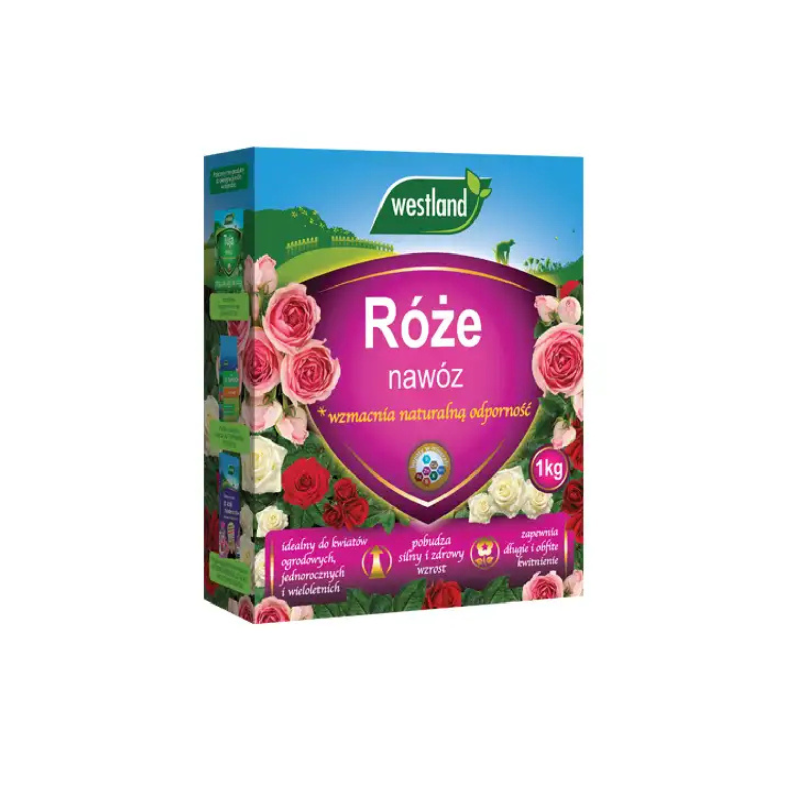 Nawóz do róż